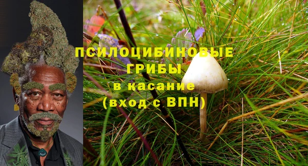 COCAINE Белокуриха
