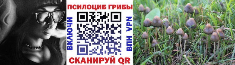 Купить где  Крымск  Псилоцибиновые грибы прущие грибы 